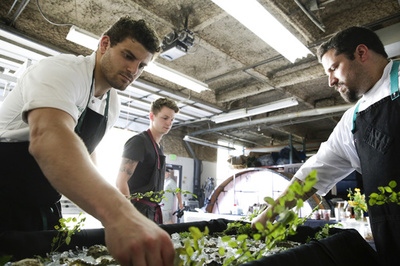 大麻で料理を新たな高みへ、米カリフォルニア州のシェフの挑戦