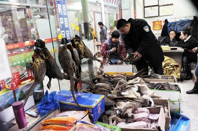 新型肺炎で注目、中国の野生動物ブラック市場 武漢も重点区域