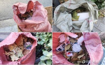 ソウルの街で「前だけを見る職業」…環境公務員、振り返れば落ち葉山積み