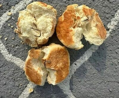 韓国・ドッグランの「釣り針入り」パン投棄事件、60代男を器物損壊未遂で在宅立件…「犬の鳴き声に不満」