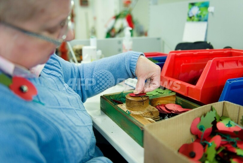 英戦死者を追悼する「赤いポピー」