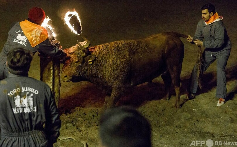 牛の角にたいまつ、伝統の祭りに反対の声 スペイン
