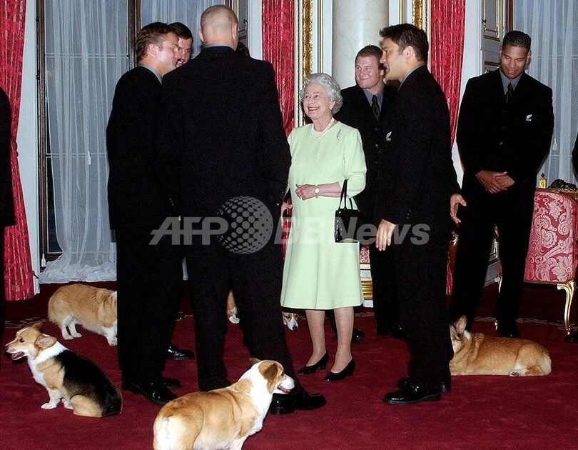 英女王お気に入りのコーギー犬に 絶滅の危機 写真1枚 国際ニュース Afpbb News