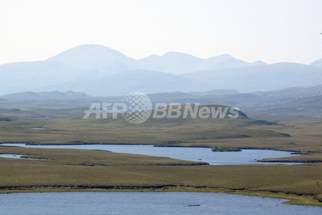 大増殖のウサギを殺処理へ、英スコットランドの島 大増殖のウサギを殺処理へ、英スコットランドの島