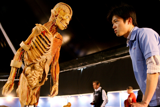 メルボルンで実物の人体標本展 写真7枚 国際ニュース：AFPBB News