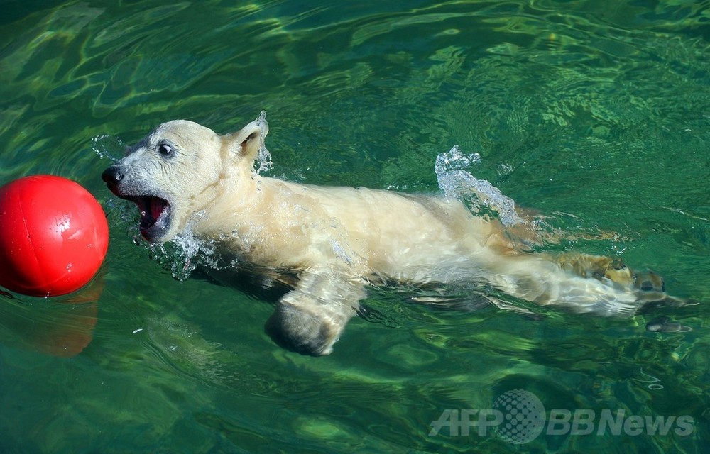 img_9985bde17532baf1739d682042