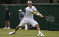 テニス、ウィンブルドン選手権（The Championships Wimbledon 2013）は27日、男子シングルス2回戦が行われ、添田豪（Go Soeda）は0-6、3-6、7-6、3-6で大会第9シードのリシャール・ガスケ（Richard Gasquet、フランス）に敗れた.

リターンを狙う添田豪（2013年6月27日撮影）。(c)AFP/ADRIAN DENNIS