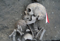 ブルガリア東部のプロバディヤ・サルニツァタ（Provadia-Solnitsata）遺跡で発掘された欧州最古とみられる「町」跡の墓地から出土した人骨（2012年9月26日撮影）。(c)AFP/Bulgarian National Institute of Archeology