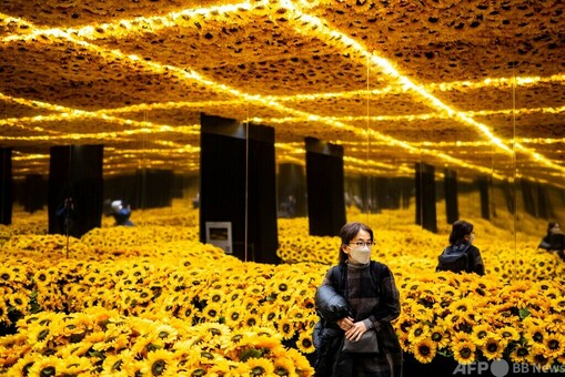 Van Gogh Alive' immersive exhibition in Tokyo 写真18枚 国際