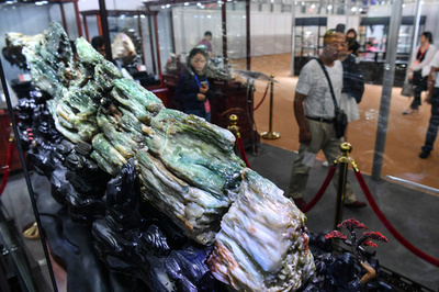 16億7千万円の木化石も展示　昆明の博覧会