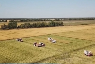 中国の食糧総生産量は6828億キロ超 再び記録を更新