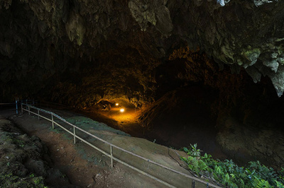 タイ、洞窟のサッカー少年救出活動でまた犠牲者 感染症で海軍兵死亡