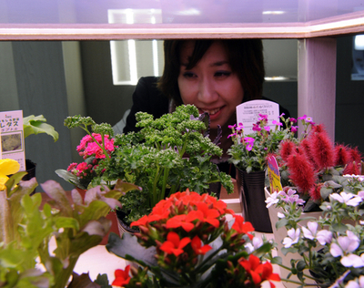 LED照明で野菜や花を栽培、スタンレー電気