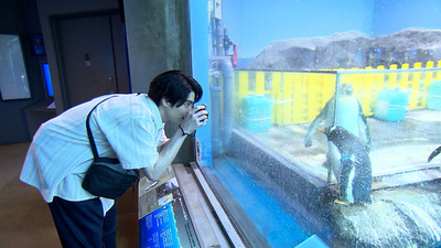 3月21日(土)「朝だ！生です旅サラダ」ゲストは上田晋也！盟友・藤木直人と横浜で“大人の休日旅”