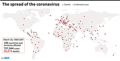 新型コロナウイルス、現在の感染者・死者数（31日午前4時時点）