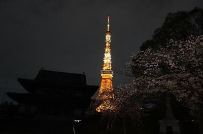 世界各地でアースアワー、照明を消して温暖化への意識高める