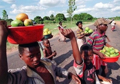 モザンビークでアフリカ最大規模のエタノール生産事業が開始へ