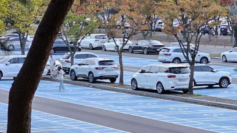 「ボベドリーム」(c)NEWSIS