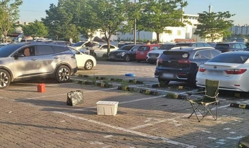 ボベドリーム(c)MONEYTODAY