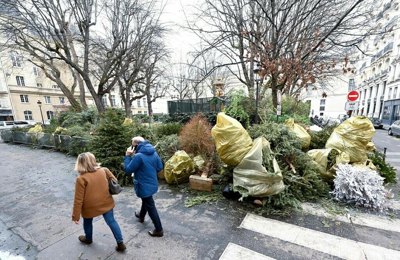 クリスマスツリーをリサイクル 市内各地に回収所 仏パリ