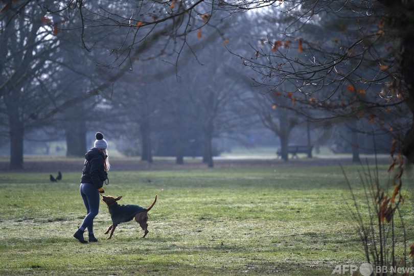 コロナ禍の英国、癒やし需要に付け込む「犬泥棒」激増