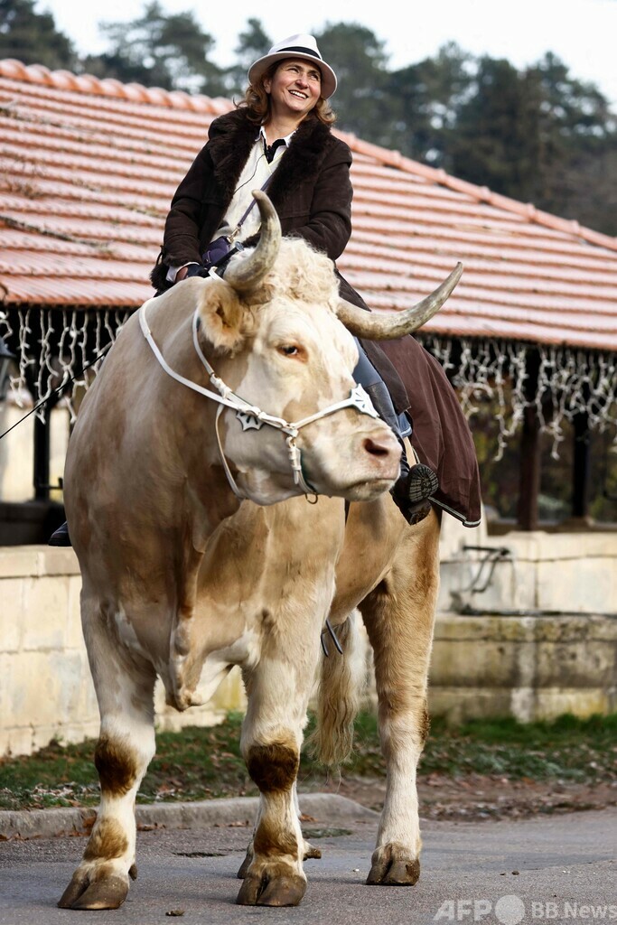 自分を「馬」だと思っている雄牛 仏