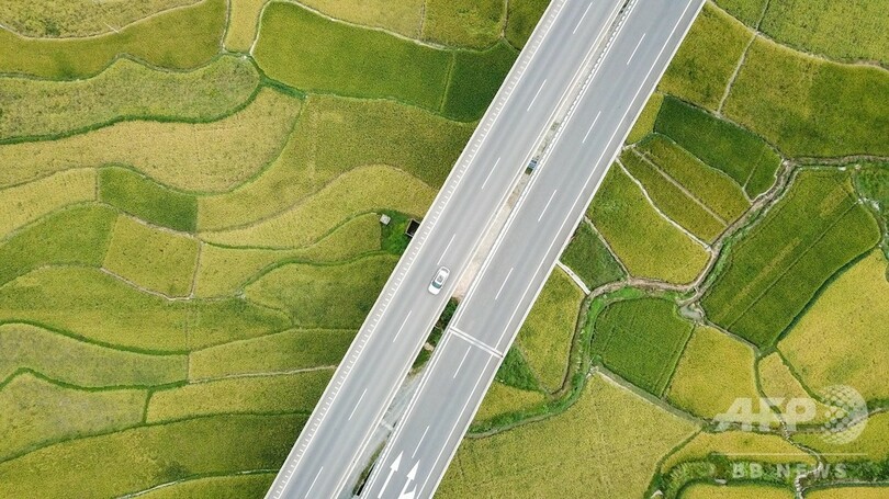 秋の気配広がる稲田 貴州・天柱
