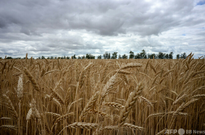 中国がロシアに「命綱」 豪首相