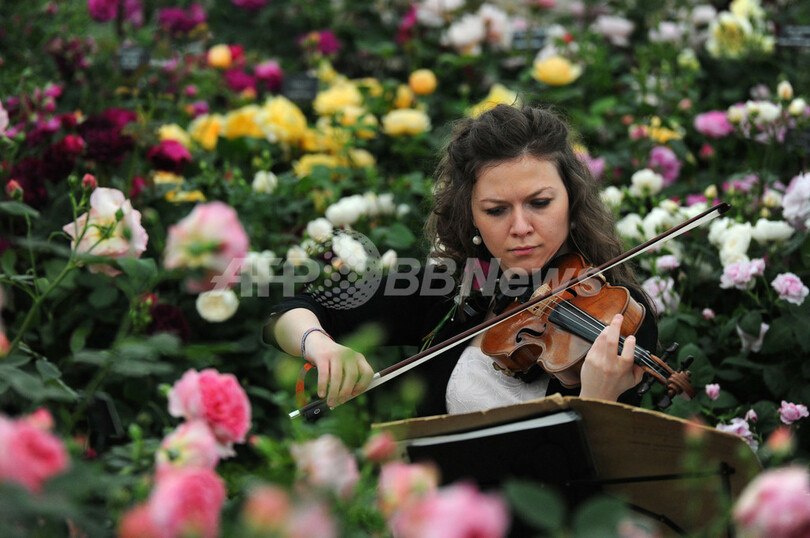 ガーデニングという名の芸術、英チェルシー・フラワーショー