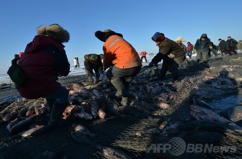 モンゴル族の伝統的な網漁始まる、初物は500万円 中国