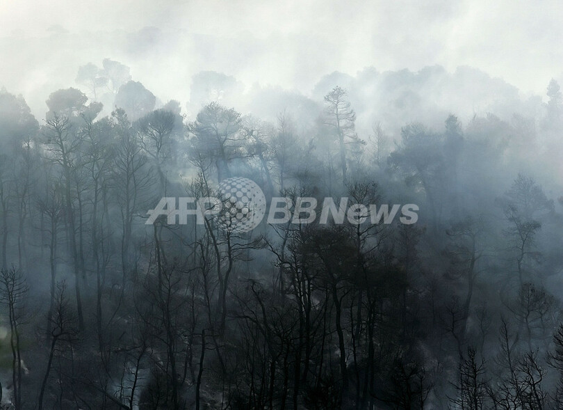 ギリシャ中部で山火事