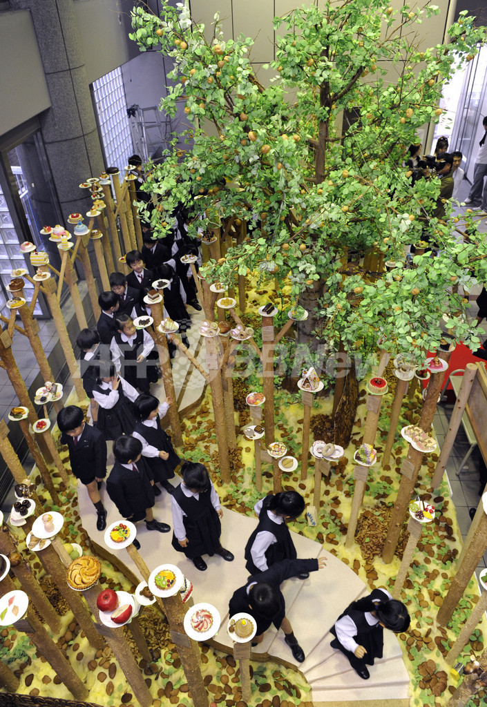 大阪の学園祭に「ケーキの木」登場
