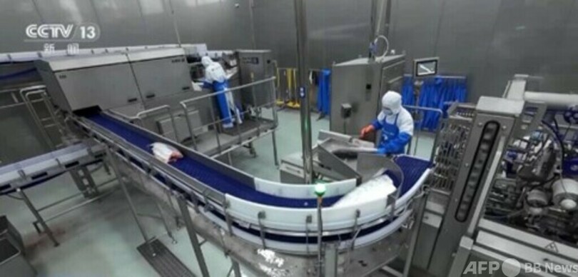 中国 サーモンの物流に特化した「空中高速道路」を構築