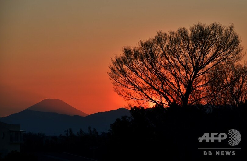 【記者コラム】日本での再出発