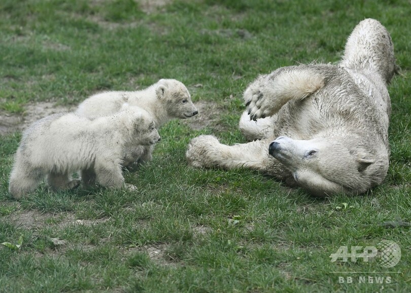 【今日の1枚】起きてよ～、最高に幸せな瞬間