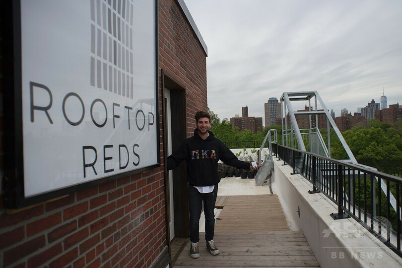 摩天楼を背に、米NY初の屋上ブドウ園オープン