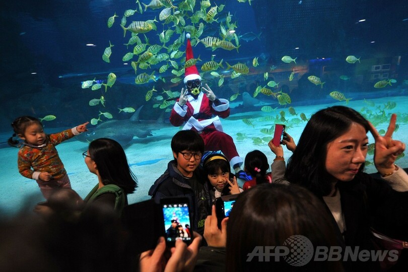 魚と泳ぐサンタクロース、韓国の水族館