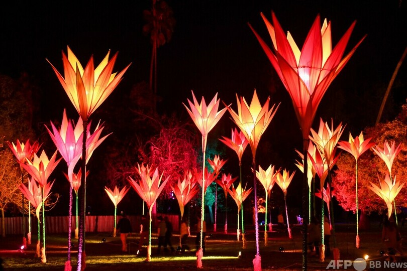 植物園で光のアート 米カリフォルニア