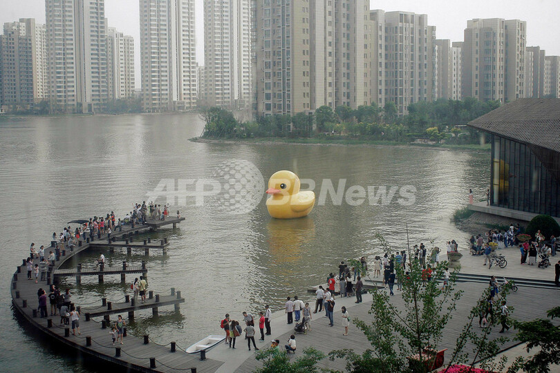 中国本土に「偽アヒル」出現、香港で人気の巨大アートまねる