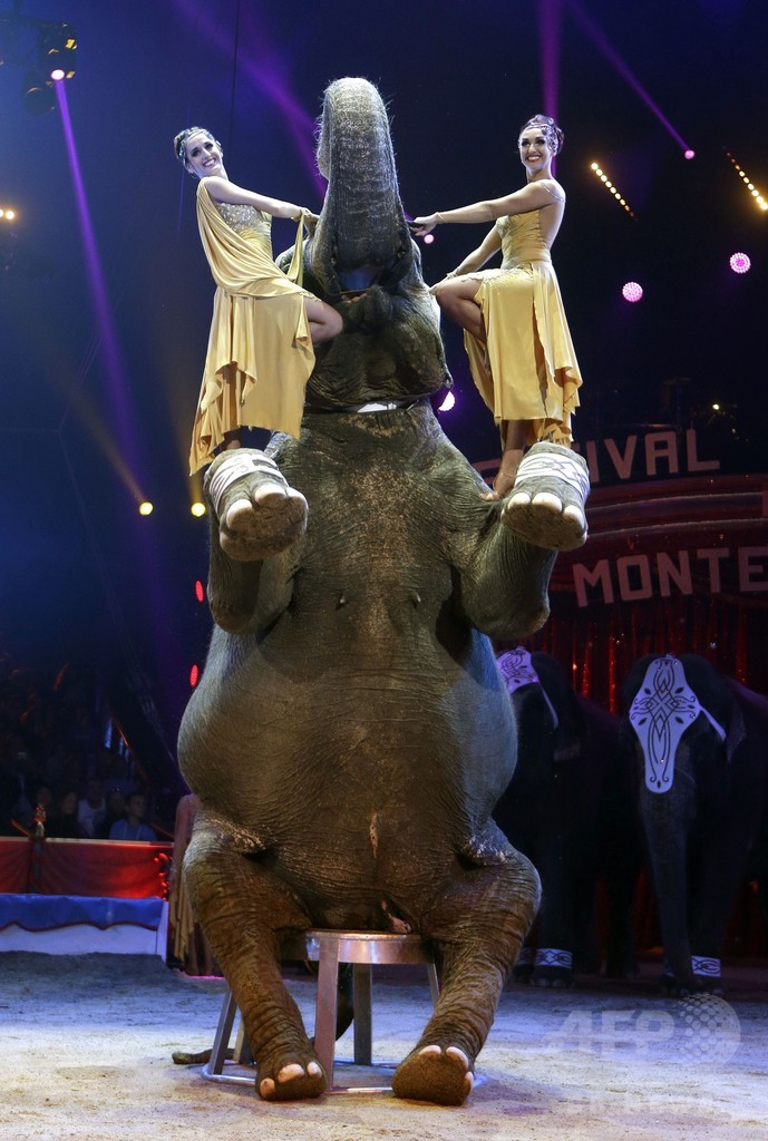 モンテカルロ国際サーカスフェスティバル、モナコで開幕
