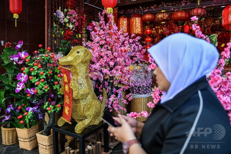 「不浄な」犬の置物は店内に 戌年の春節迎えるイスラム教国マレーシア