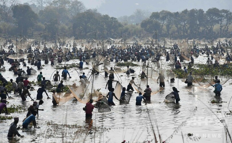インド北東部アッサム州で収穫祭、大勢で魚捕り
