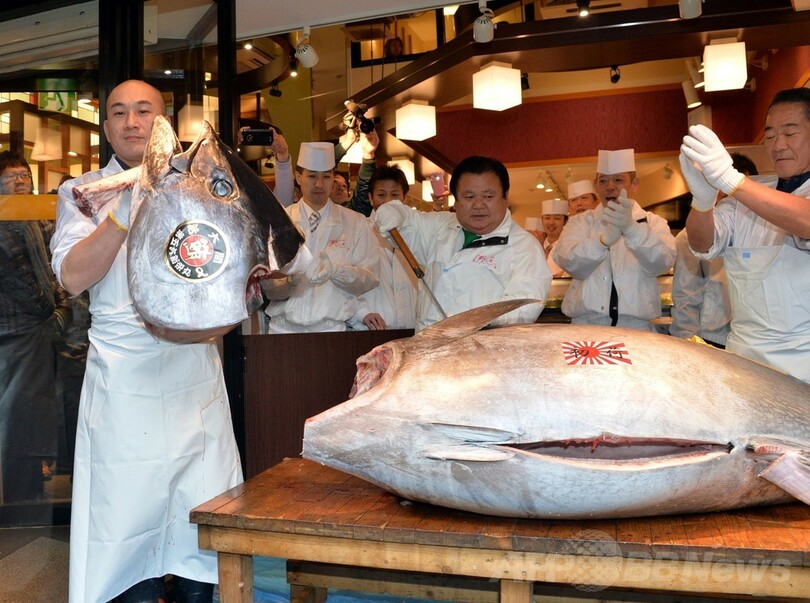 マグロ初競り736万円、ライバル敬遠で大幅安値