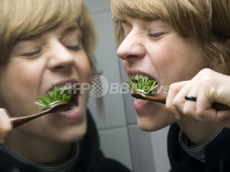 「モミの木歯ブラシ」でクリスマス気分、磨き心地は？