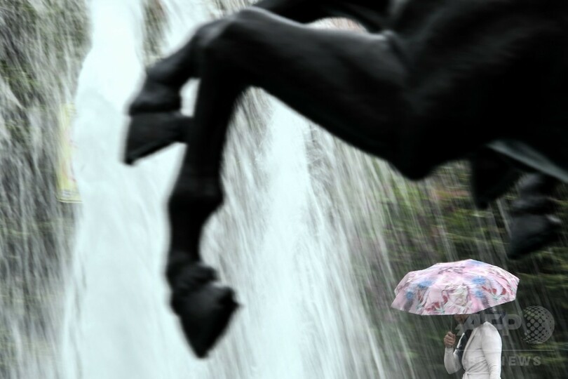 モスクワで暴風雨、13人死亡70人重傷 倒木などの犠牲に