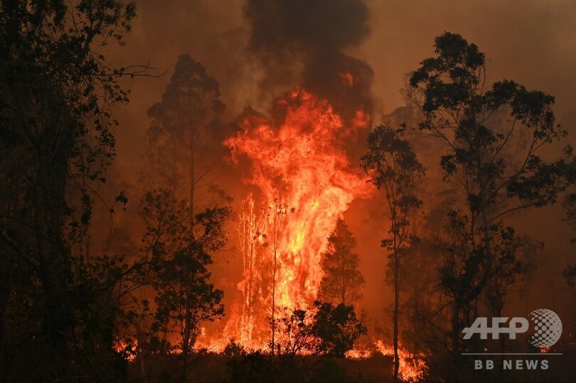豪森林火災で非常事態宣言、シドニー周辺で警戒レベル最高