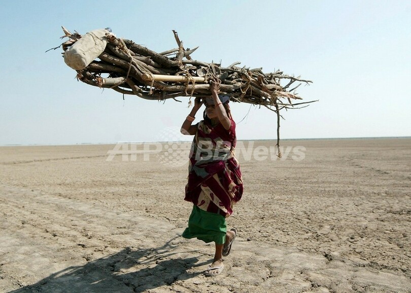 インド 国土の4分の1が砂漠化 森林伐採や過放牧で 写真1枚 国際ニュース Afpbb News