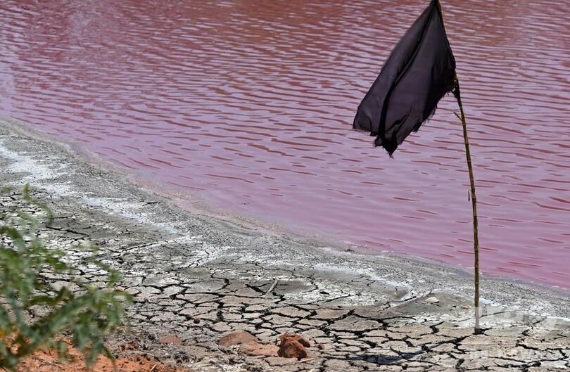 ピンクに変色、干上がる湖 工場廃棄物が原因か パラグアイ