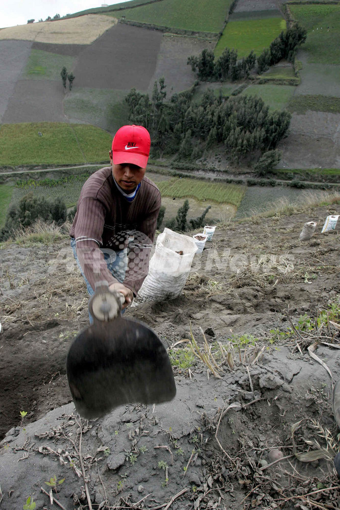 エクアドルのトゥングラウア火山、さらなる噴火の恐れ