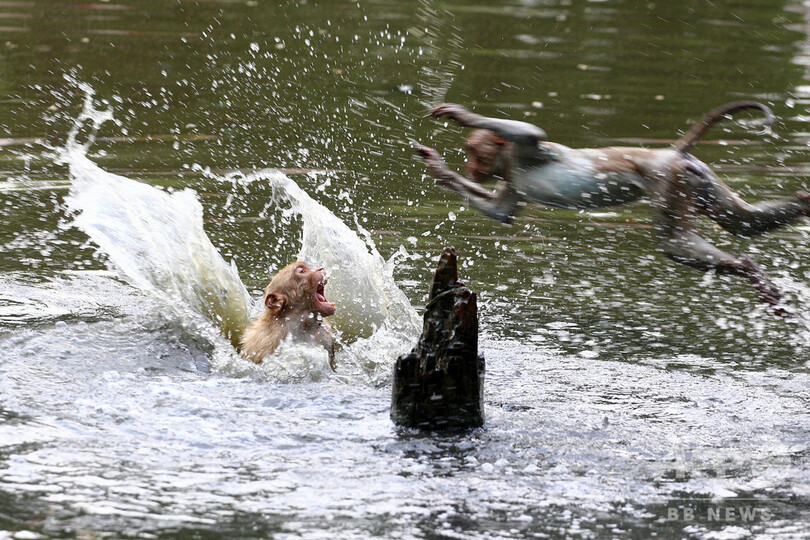 インド北部、熱波で50度 首都は5月最高気温を18年ぶり更新